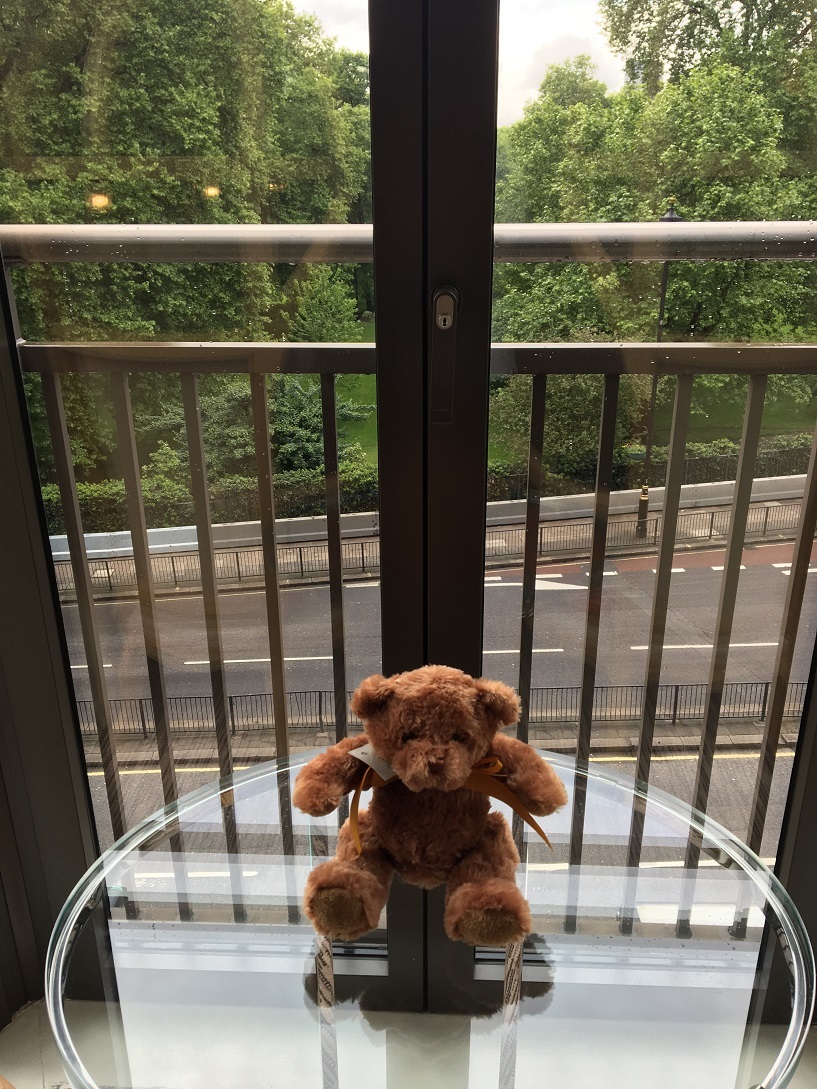 Teddy at Athenaeum Hotel In London