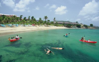 The Buccaneer on St. Croix USVI