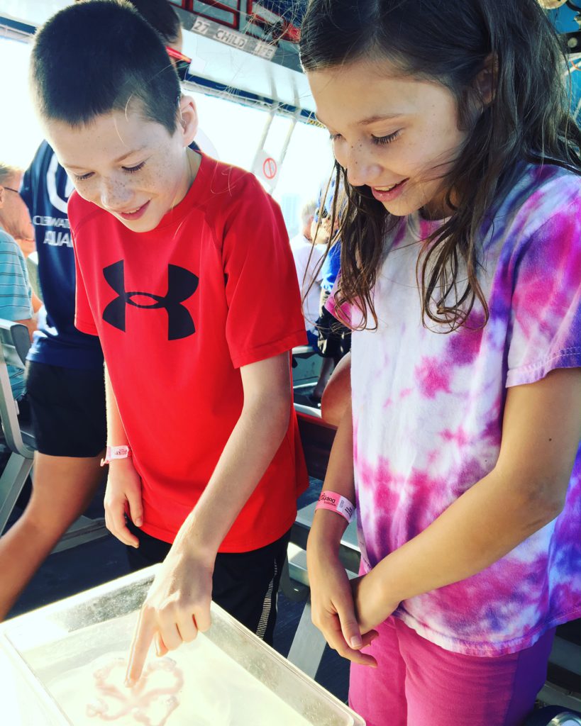 Kids touching jellyfish at Clearwater Marine Aquarium