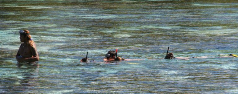 A tour of the Coral Garden with Turo as the pied piper