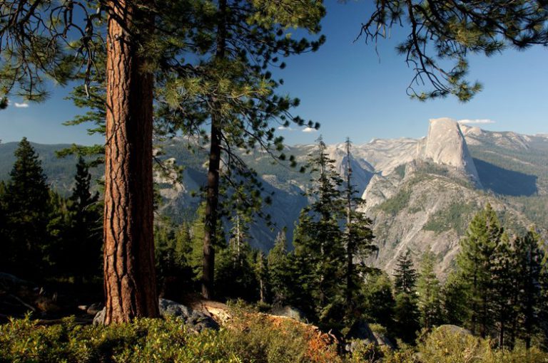 view from Glacier Point over half Dome and Yosemite Valley, Yosemite National Park, California, United States of America
