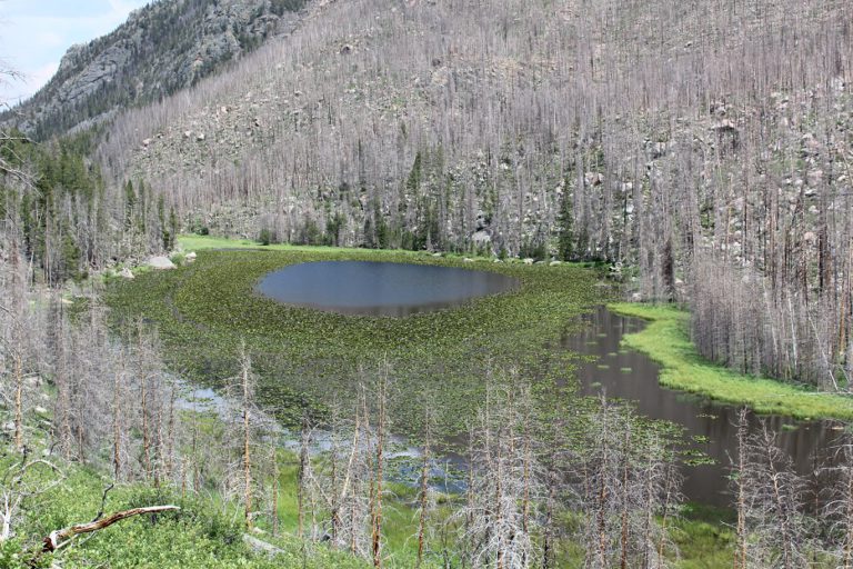 Cub Lake in Rocky Mountain National Park
