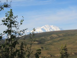 View of Mt. McKinley from the Camp Denali on a clear morning in June 2012
