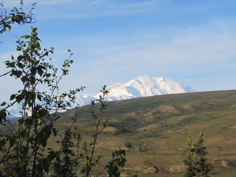 Camp Denali: a special place in the Alaskan wilderness