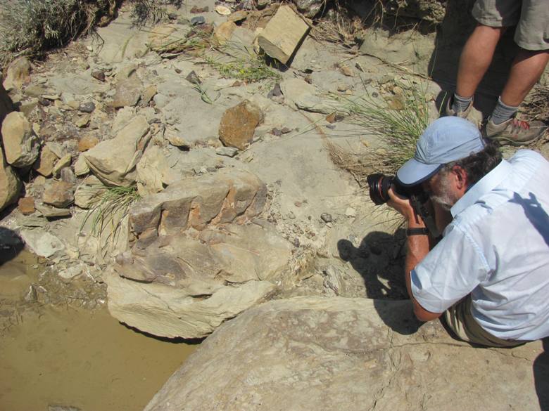 Hunting for dinosaur bones in Eastern Montana