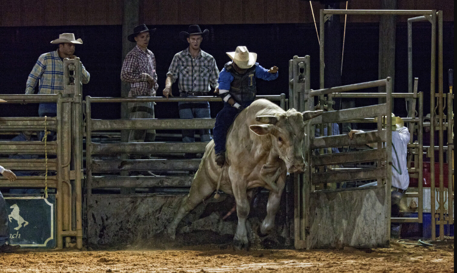 Westgate Ranch Rodeo