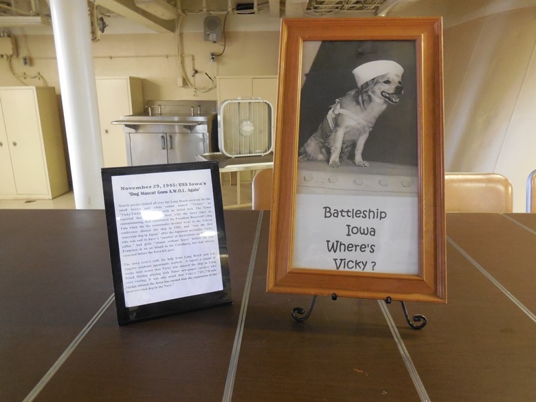 Victory the Dog  Battleship USS IOWA Museum Los Angeles