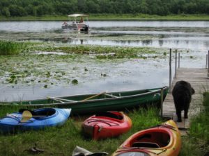 Boats and Kody the dog on Deer Lake