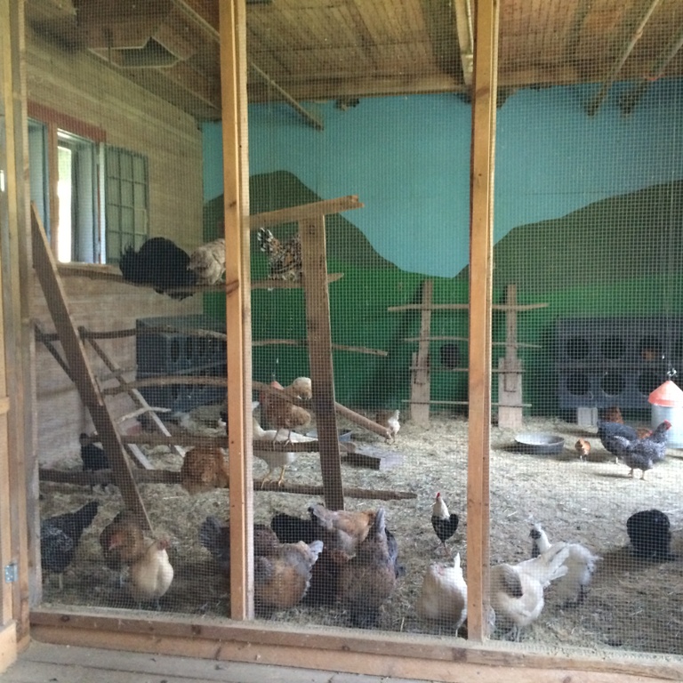 Chicken coop at Shelburne Farms VT