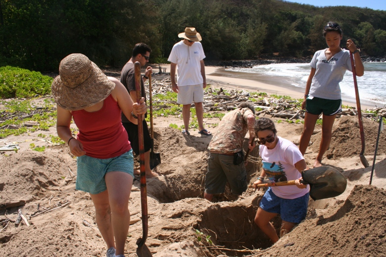 Exploring botanicals and turtle nests of Kauai