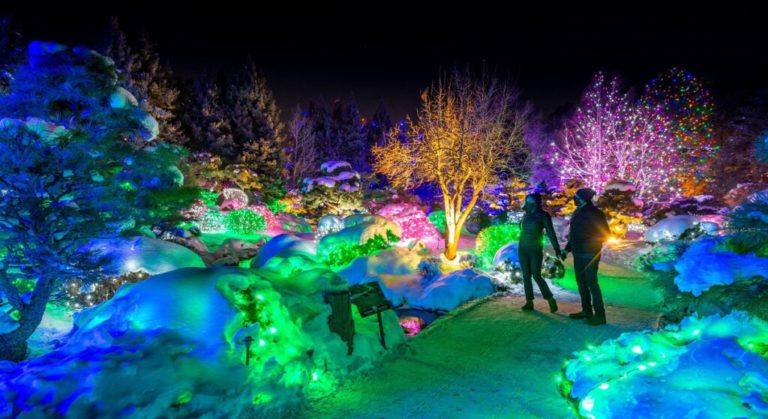 Where to take the kids to see the best and brightest holiday lights