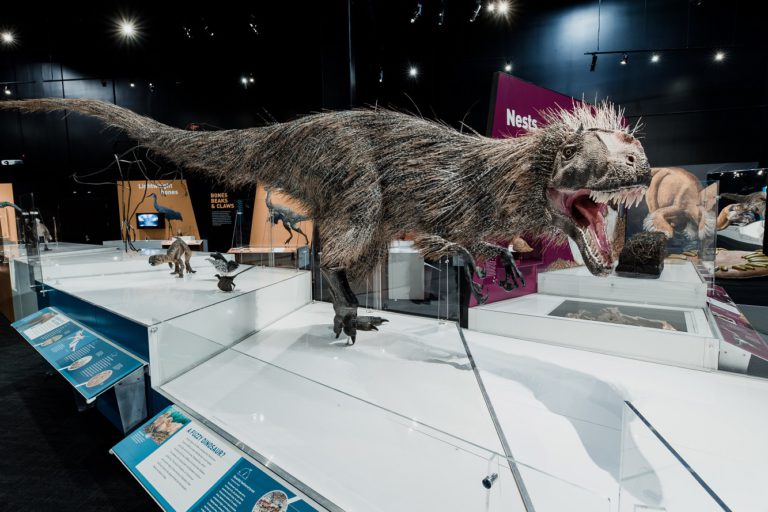 Calling all dino lovers