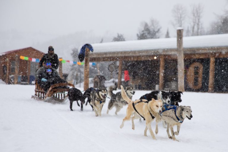 Managing some romance this pandemic year