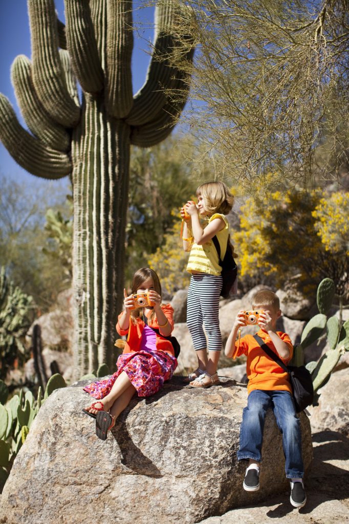 Cactus Garden at The Phoenician.