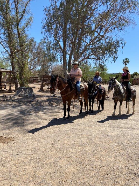 taking the kids, family travel, dude ranches, Arizona, White Stallion Ranch, horse rides, desert flora and fauna