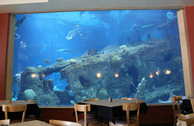 Chiles and yogurt: family dining in Albuquerque NM