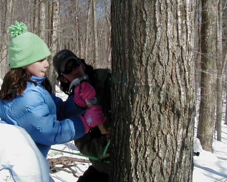 Going on spring break