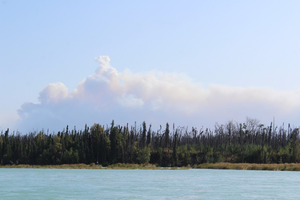 A billowing cloud of smoke from the Swan Lake Fire seen from the Kenai River