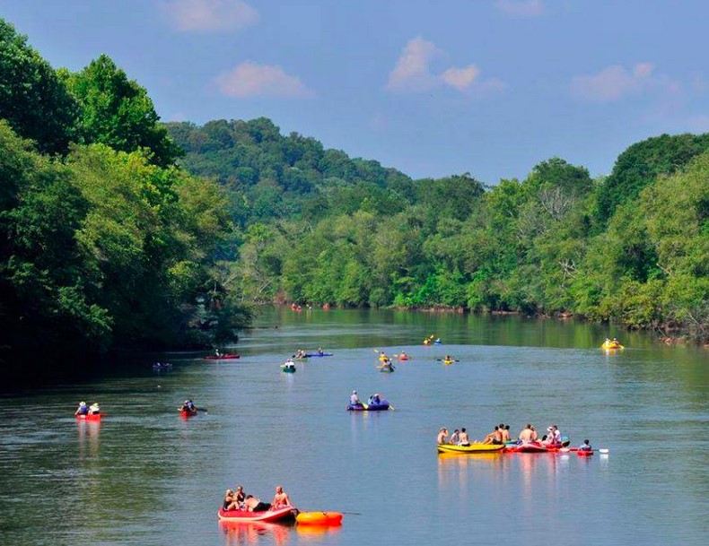 A bird's eye view of the river