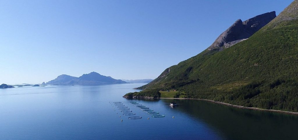 Fish pens at Aerial view of Norway’s Kvarøy Arctic 