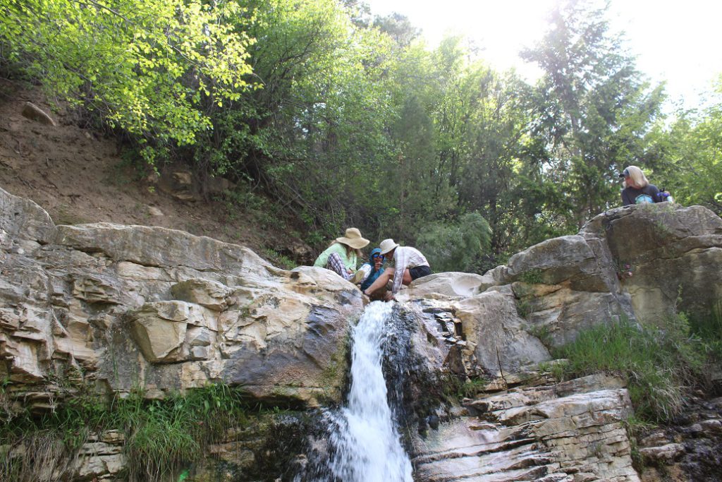 At the top of a 5-mile hike on day four - Ely Creek Falls