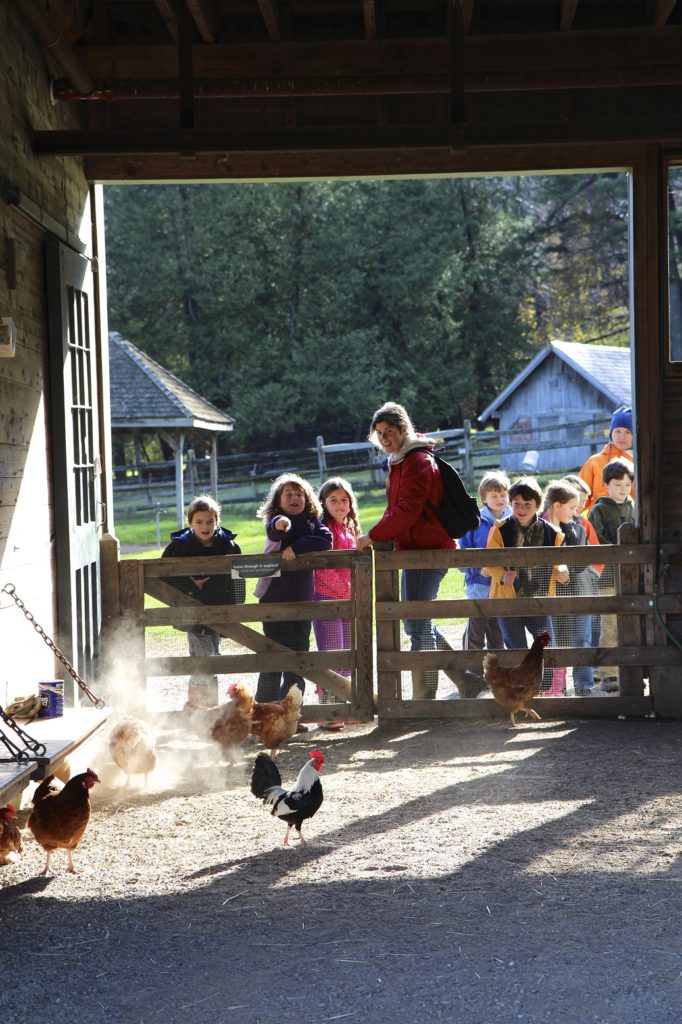 Children’s Farmyard, Shelburne Farms