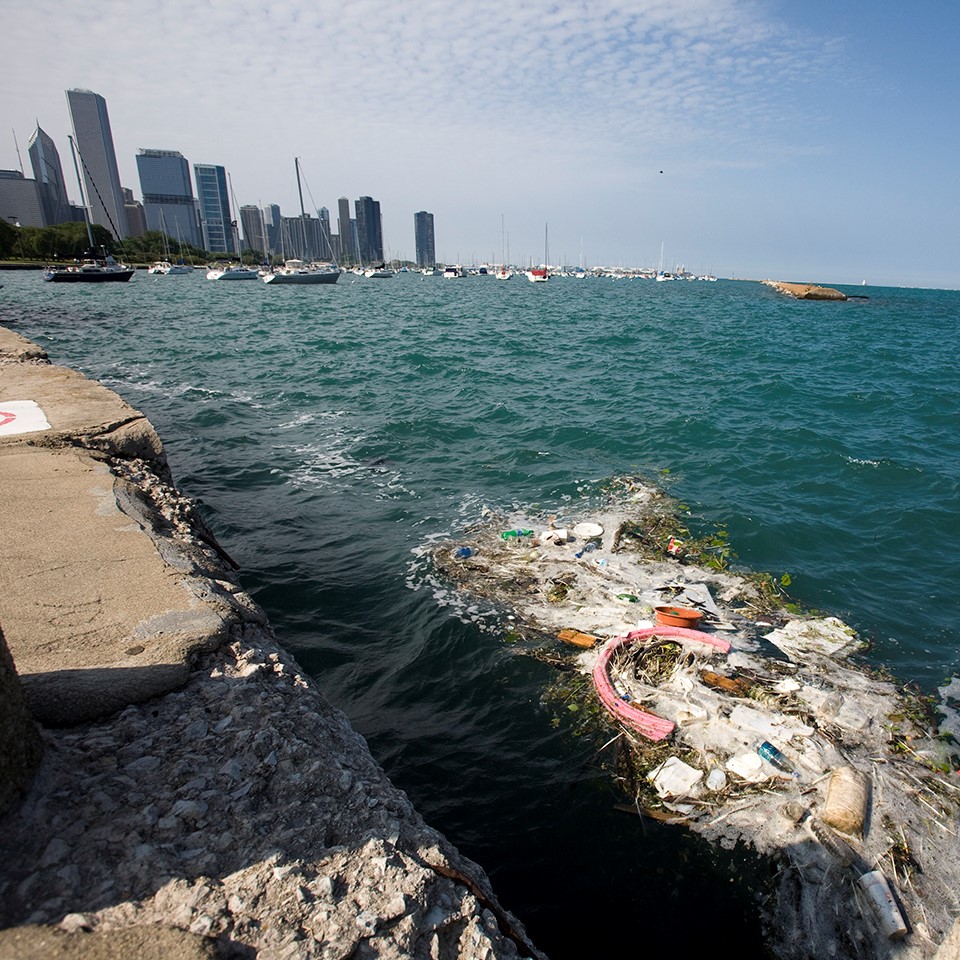 Debris floating in Lake Michigan near Shedd Aquarium in Chicago