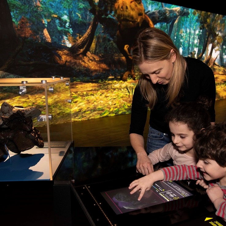 T. Rex visitors will have the chance to choose from a wide palette of colors, stripes, spots, and feathers to imagine what T. rex may have looked like