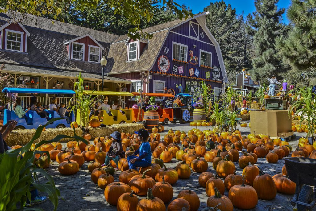 Half Moon Bay Pumpkin Fest