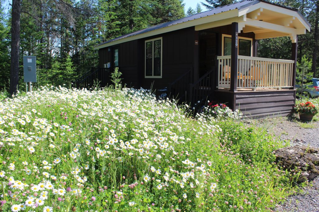 Our cozy cabin surrounded by wildflowers at West Glacier RV Park