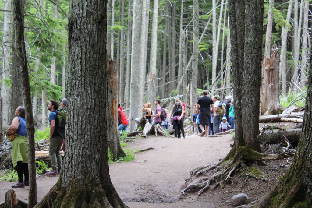 Hikers on trail to Avalanche Lake viewing a bear in the distance