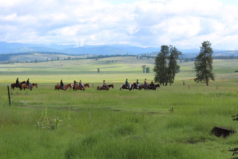 Families give Paws Up high marks