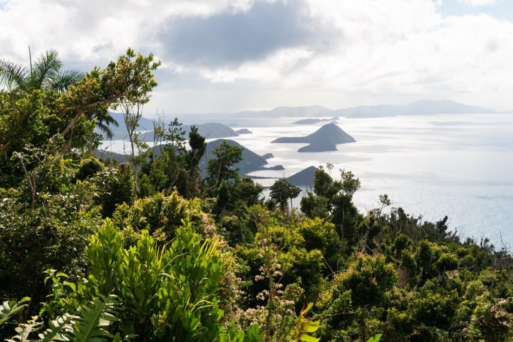 Jost Van Dyke Island from Sage Mountain, Tortola, British Virgin Islands