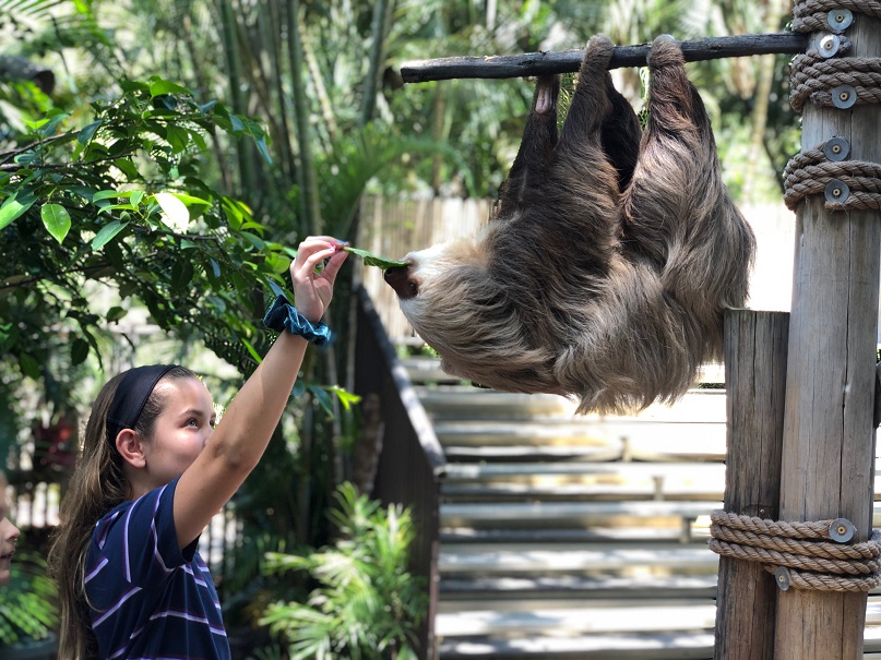 Kids get to feed Wilbur during visiting hours