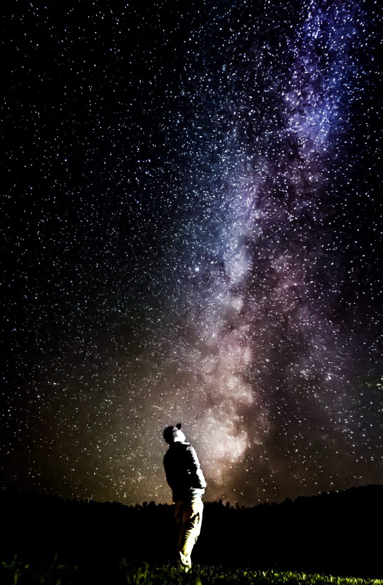 How I got the “money shot” in Custer State Park