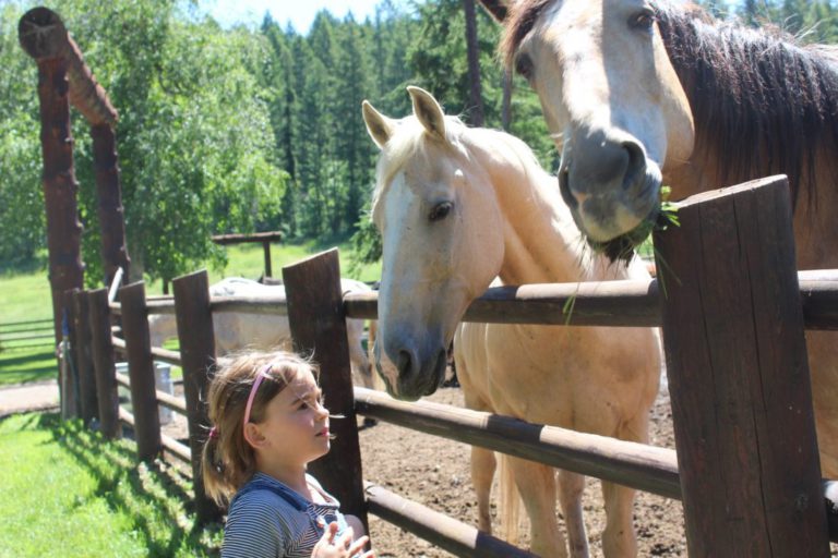 To a unique family-owned Montana ranch