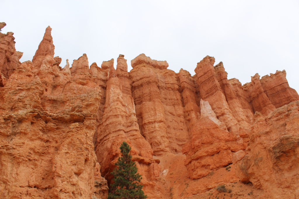 On the Queens Garden hike in Bryce Canyon NP