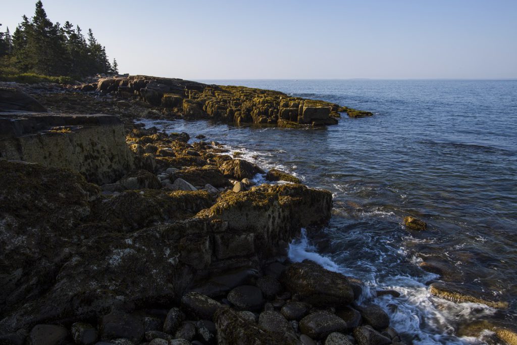 Schoodic Peninsula, Acadia National Park, ME.