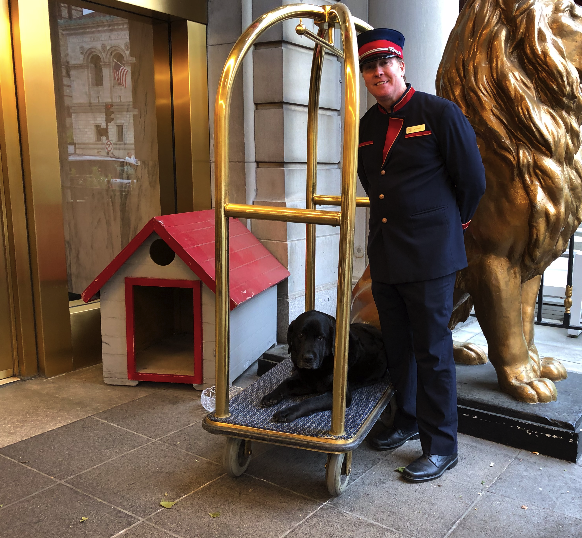 Carly Copley at the Fairmont Copley Plaza in Boston with Doorman Mike Eads, who adopted her