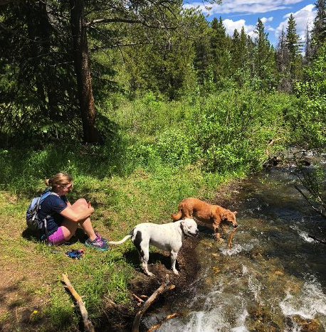 Doggies frolic in the water along the Burro Trail