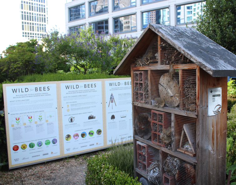 A townhouse for solitary bees at the Fairmont Waterfront Vancouver