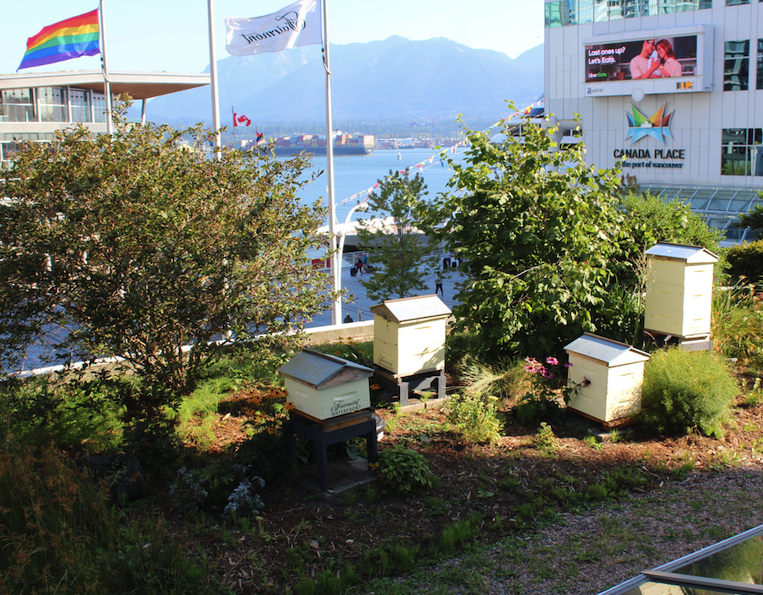 Honey Bee Hives on rooftop at Fairmont Waterfront