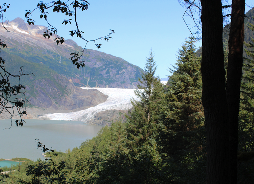 View of the Mendenhall Glacier from the East hiking trail