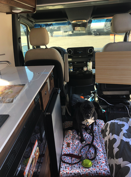 Trooper makes herself at home in the Winnebago Boldt