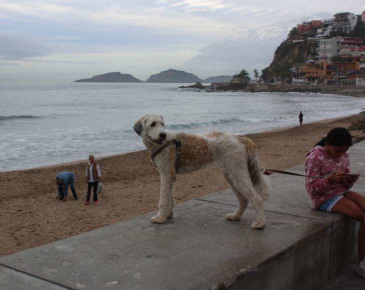 Along the Malecon in Matzalan