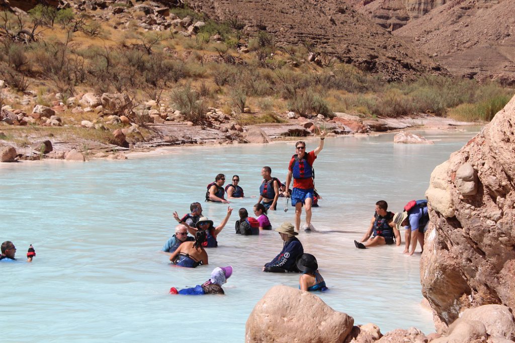 Soaking in the relatively warmer waters of the Little Colorado River