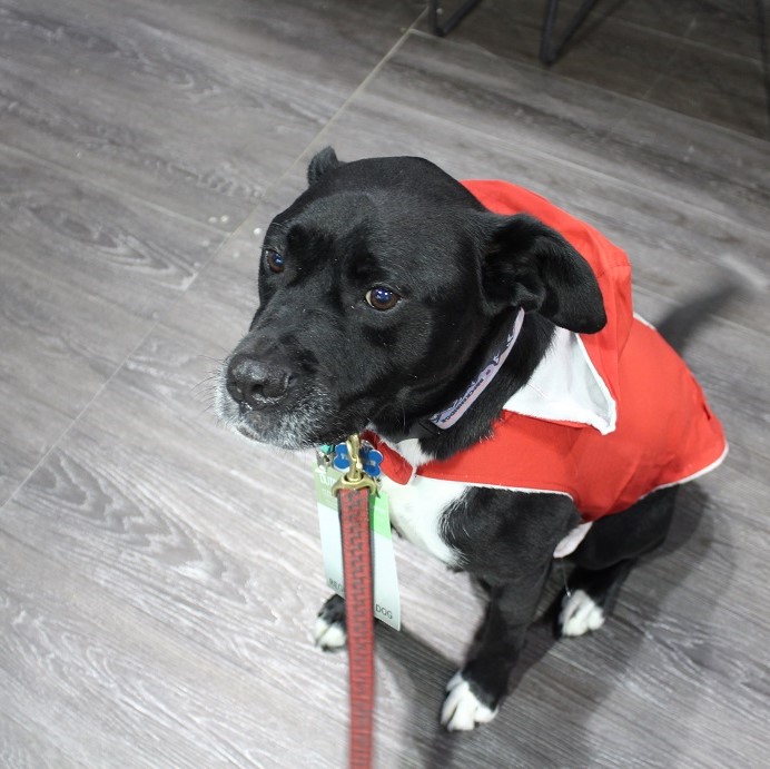 Super Trooper in her hoodie rain jacket from Free Country