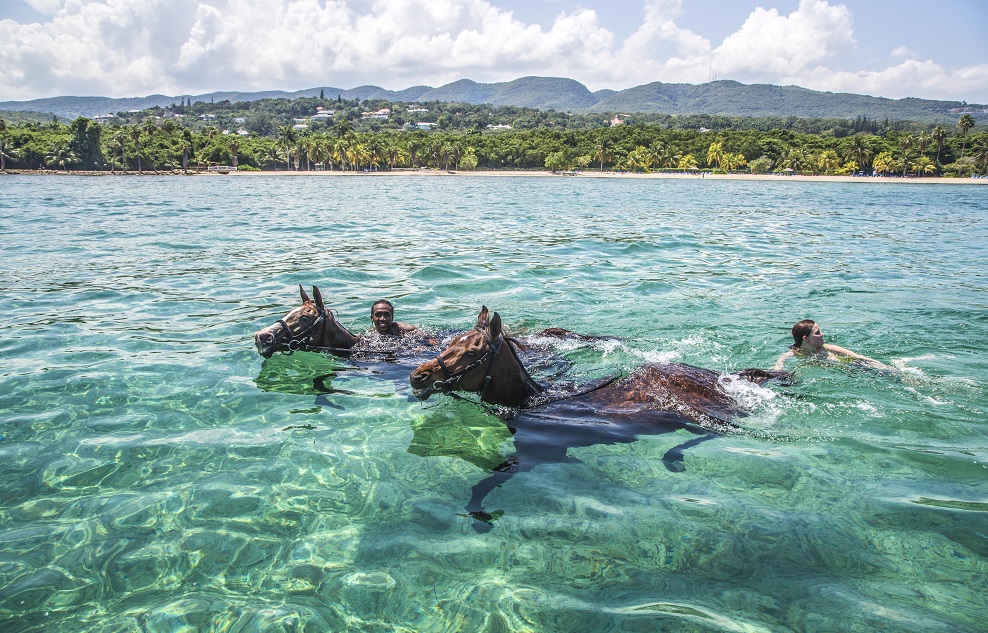 Swimming with horses at Half Moon Resort In Jamaica