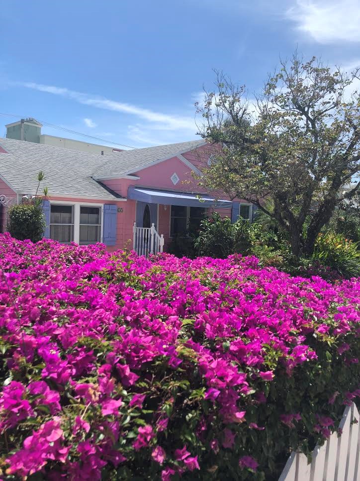 Taking a stroll through Delray's Pineapple Grove