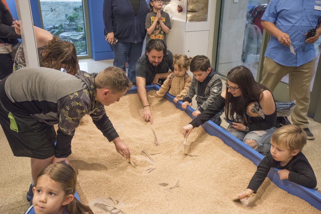 The Dinosaur Lab, Witte Museum